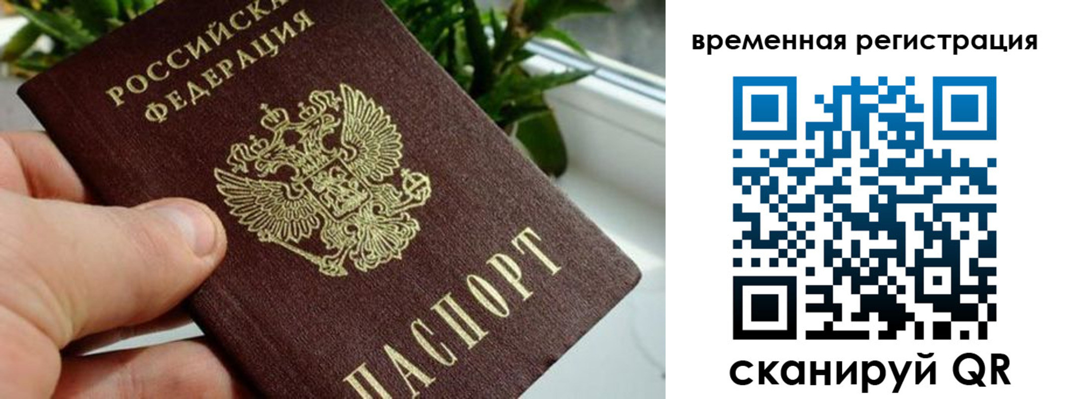 прописка поиск в Байкальске
